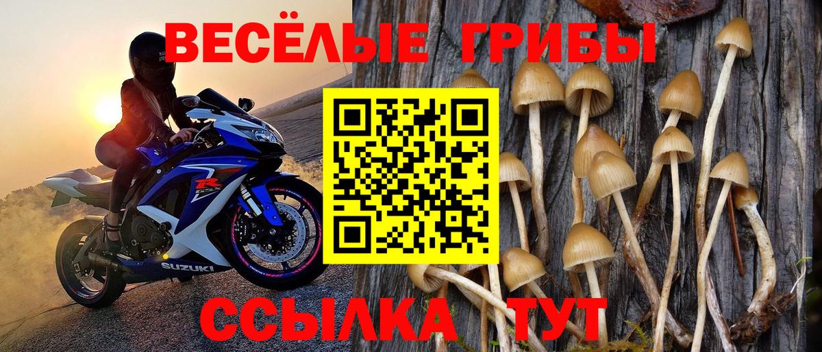 Псилоцибиновые грибы мухоморы Тутаев